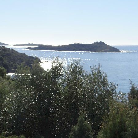 Appartement T2 50M² Vue Mer Presqu'Il De Giens. Rc Hyères Buitenkant foto